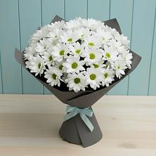 Букет цветов из:  Хризантемы в Новоаннинске