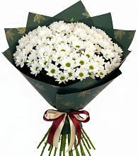 Букет цветов из:  Хризантемы в Новоаннинске