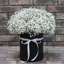 Цветочная композиция из Гипсофила в шляпной коробке в Новоаннинске