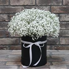 Цветочная композиция из Гипсофила в шляпной коробке в Новоаннинске