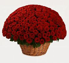 Премиум букет из: Розы в Новоаннинске