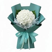 Букет цветов из:  Гортензия в Новоаннинске